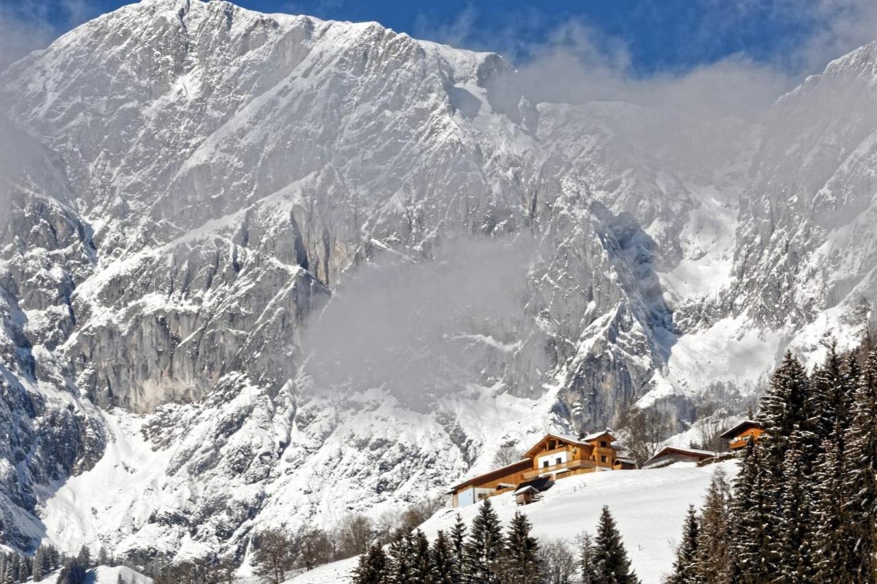 Gut Stein Panoramalodge Mühlbach am Hochkönig Dış mekan fotoğraf