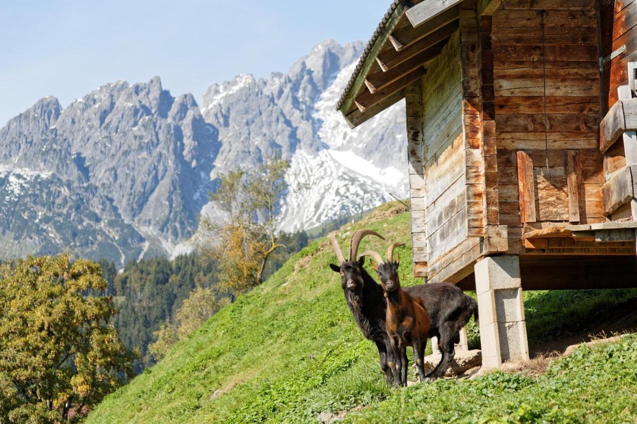 Gut Stein Panoramalodge Mühlbach am Hochkönig Dış mekan fotoğraf