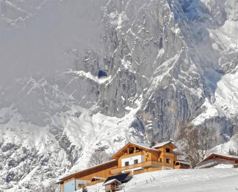 Gut Stein Panoramalodge Mühlbach am Hochkönig Dış mekan fotoğraf