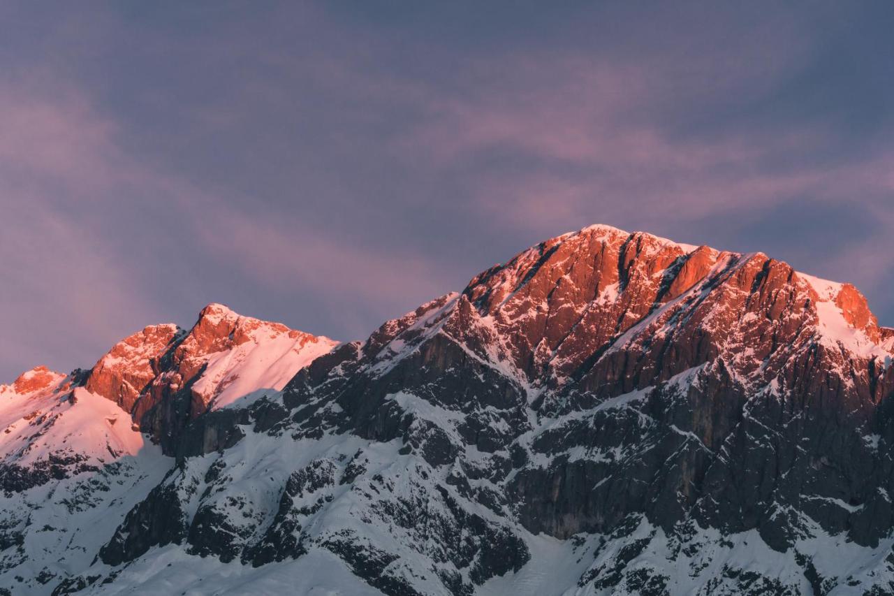 Gut Stein Panoramalodge Mühlbach am Hochkönig Dış mekan fotoğraf