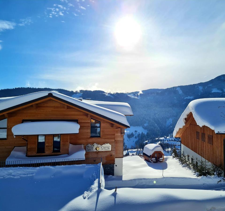 Gut Stein Panoramalodge Mühlbach am Hochkönig Dış mekan fotoğraf
